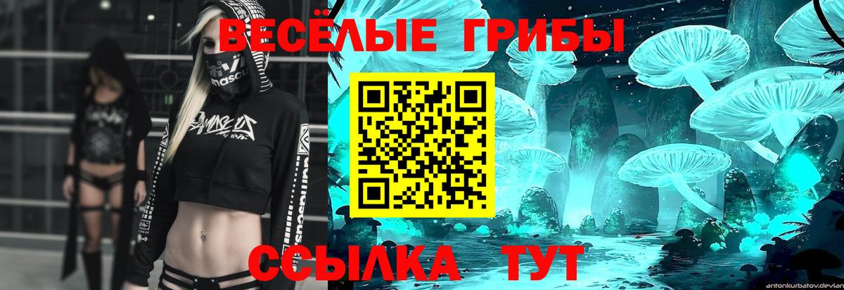 Псилоцибиновые грибы Psilocybe Кировск