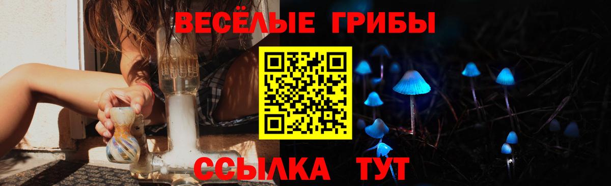 Галлюциногенные грибы прущие грибы  Вход с VPN  Кировск 